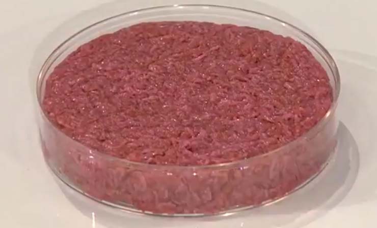 carne sintetica realizzata in laboratorio