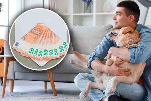 cos'è il bonus animali 200 euro