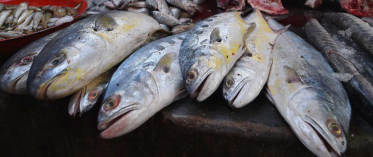 particolari da osservare per il pesce fresco a Natale