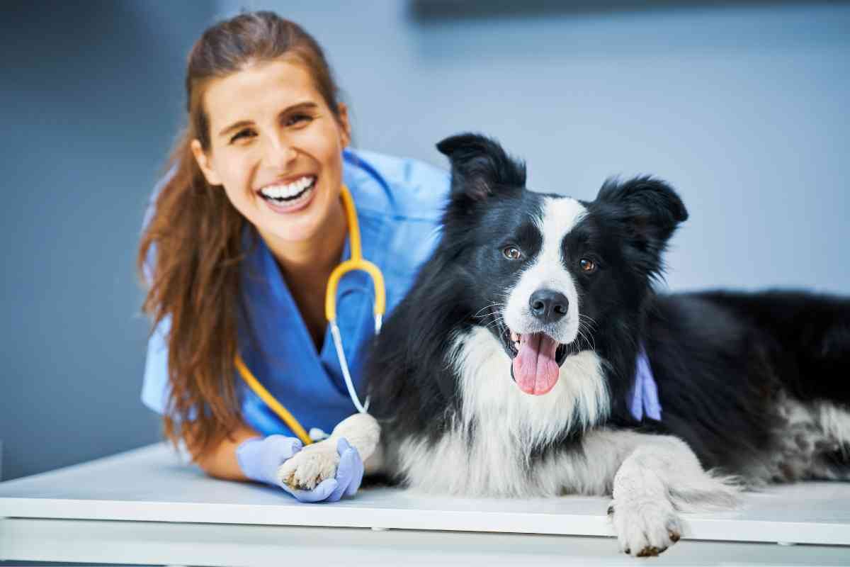 detrazioni spese veterinarie 2024