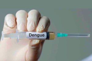 quali sono le regioni a rischio dengue