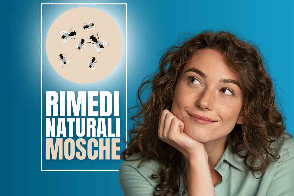 Rimedi naturali mosche in casa