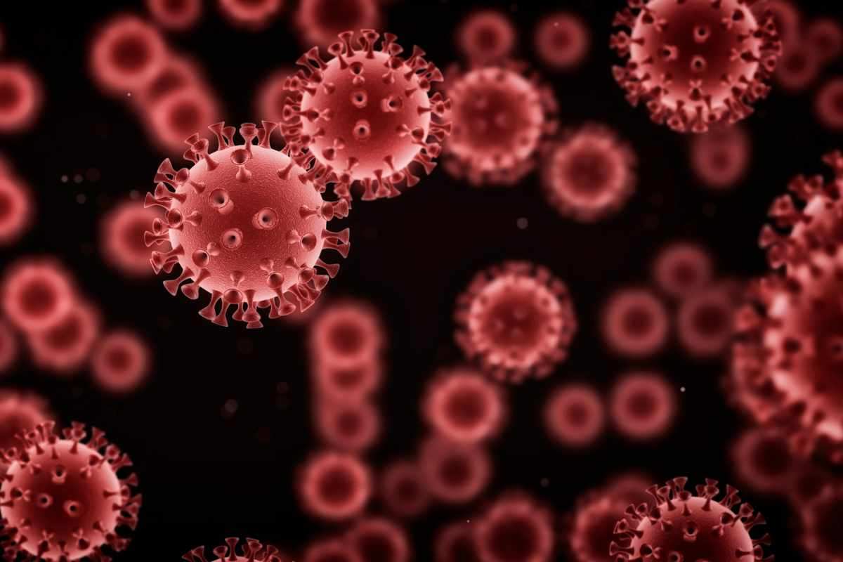 sintomi del virus b delle scimmie