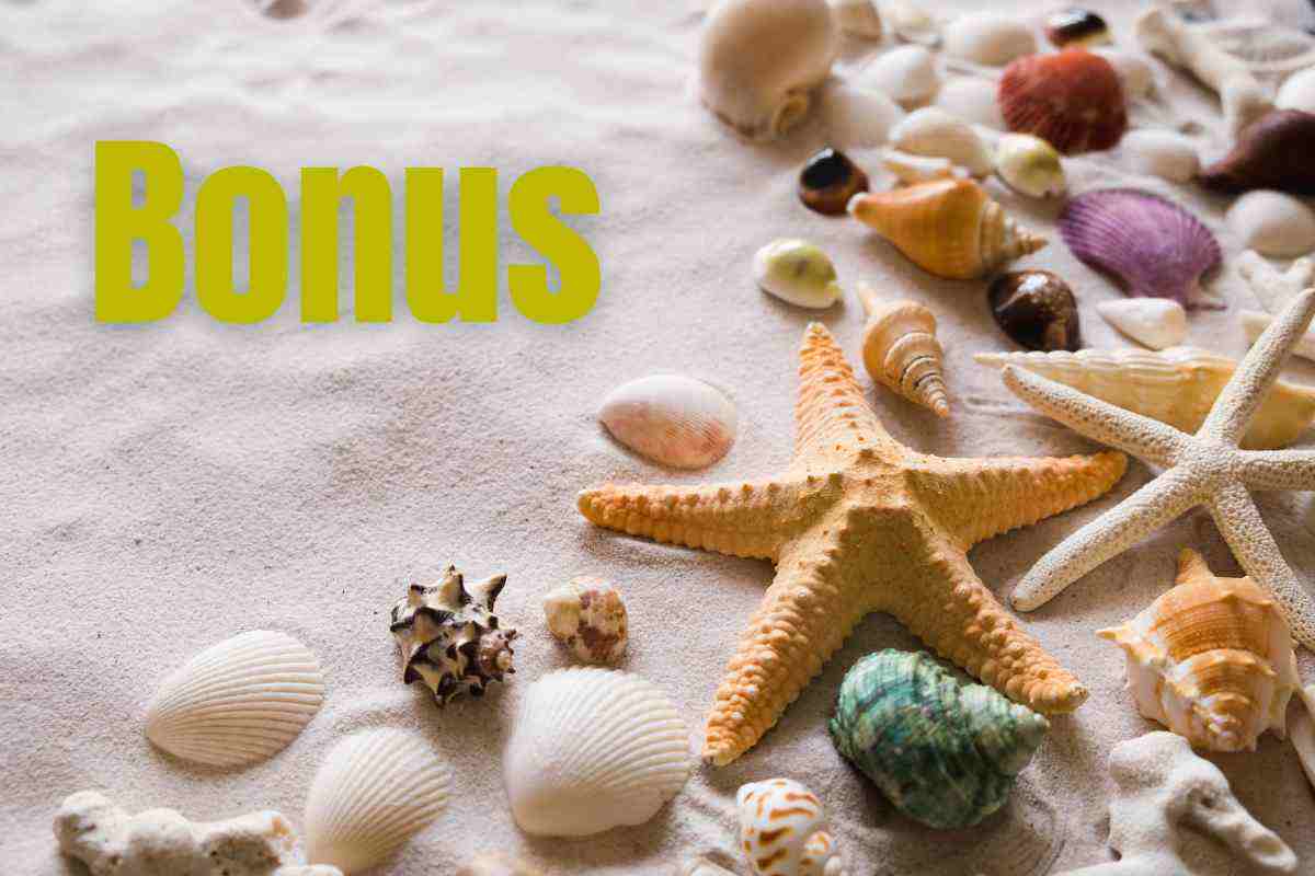 Bonus estate 2024: è tempo di rinfrescare le idee