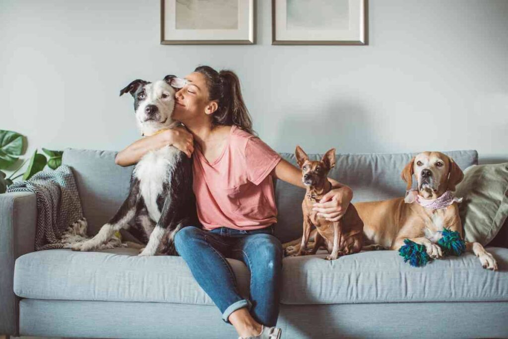 requisiti bonus animali domestici