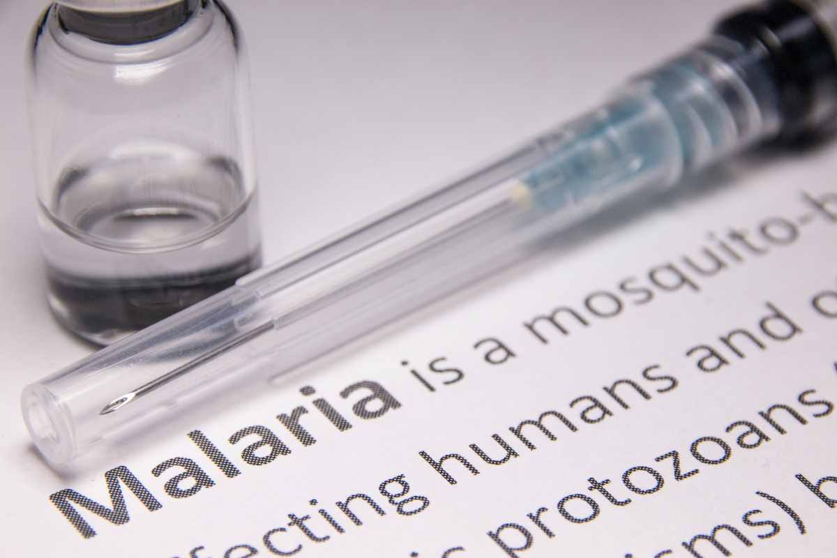 la zanzara trasmette la malaria